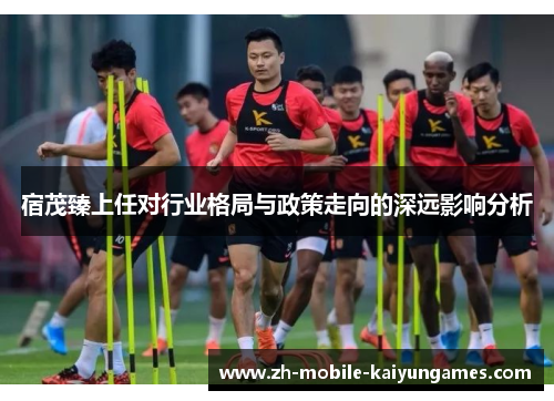宿茂臻上任对行业格局与政策走向的深远影响分析