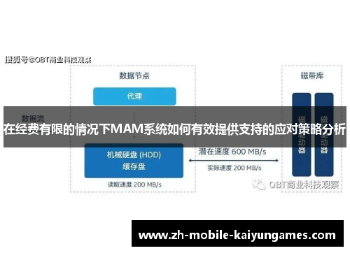 在经费有限的情况下MAM系统如何有效提供支持的应对策略分析