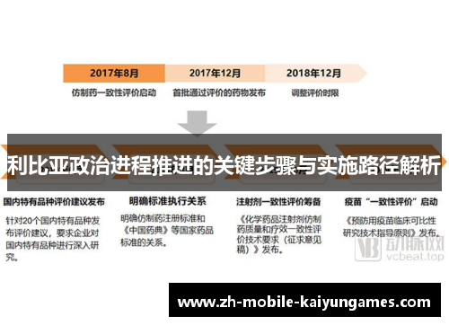 利比亚政治进程推进的关键步骤与实施路径解析