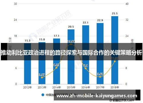 推动利比亚政治进程的路径探索与国际合作的关键策略分析