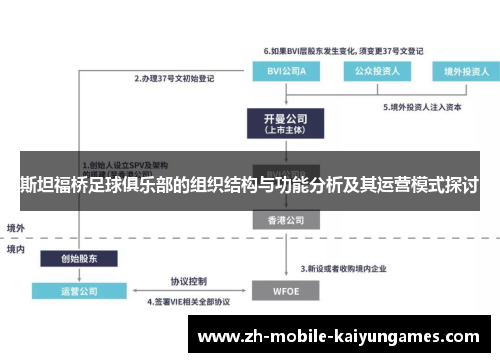 斯坦福桥足球俱乐部的组织结构与功能分析及其运营模式探讨