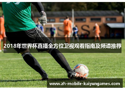 2018年世界杯直播全方位卫视观看指南及频道推荐