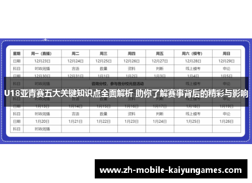 U18亚青赛五大关键知识点全面解析 助你了解赛事背后的精彩与影响