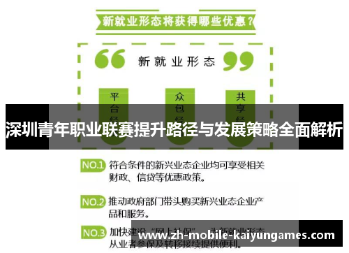 深圳青年职业联赛提升路径与发展策略全面解析