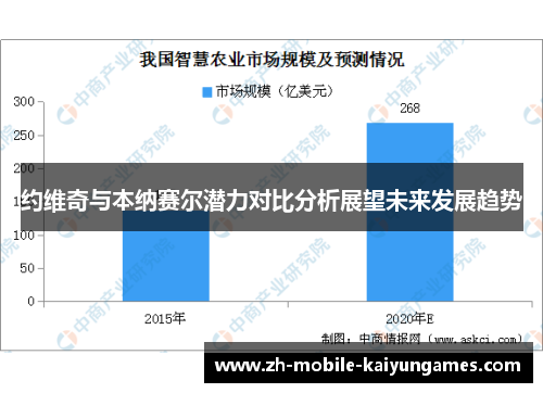 约维奇与本纳赛尔潜力对比分析展望未来发展趋势