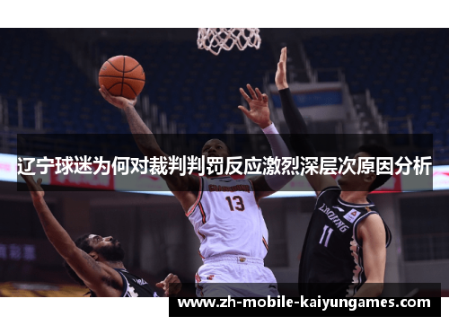 辽宁球迷为何对裁判判罚反应激烈深层次原因分析 辽宁球迷为何对裁判判罚反应激烈深层次原因分析