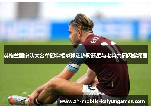 英格兰国家队大名单即将揭晓球迷热盼新星与老将共同闪耀绿茵 英格兰国家队大名单即将揭晓球迷热盼新星与老将共同闪耀绿茵