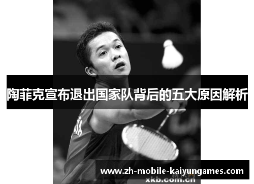陶菲克宣布退出国家队背后的五大原因解析 陶菲克宣布退出国家队背后的五大原因解析