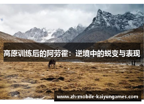 高原训练后的阿劳霍：逆境中的蜕变与表现