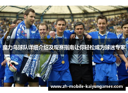魔力鸟球队详细介绍及观赛指南让你轻松成为球迷专家