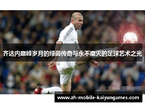 齐达内巅峰岁月的绿茵传奇与永不磨灭的足球艺术之光