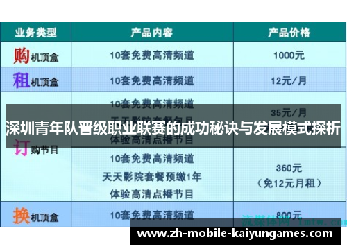 深圳青年队晋级职业联赛的成功秘诀与发展模式探析