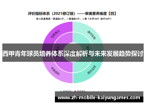 西甲青年球员培养体系深度解析与未来发展趋势探讨